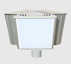 Парковые светодиодные светильники ДТУ-02-30-001/002 прозрачный/матовый 30Вт IP65